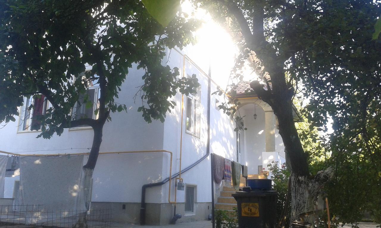 Alfredo Hostel Craiova Exterior foto